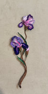Purple Iris