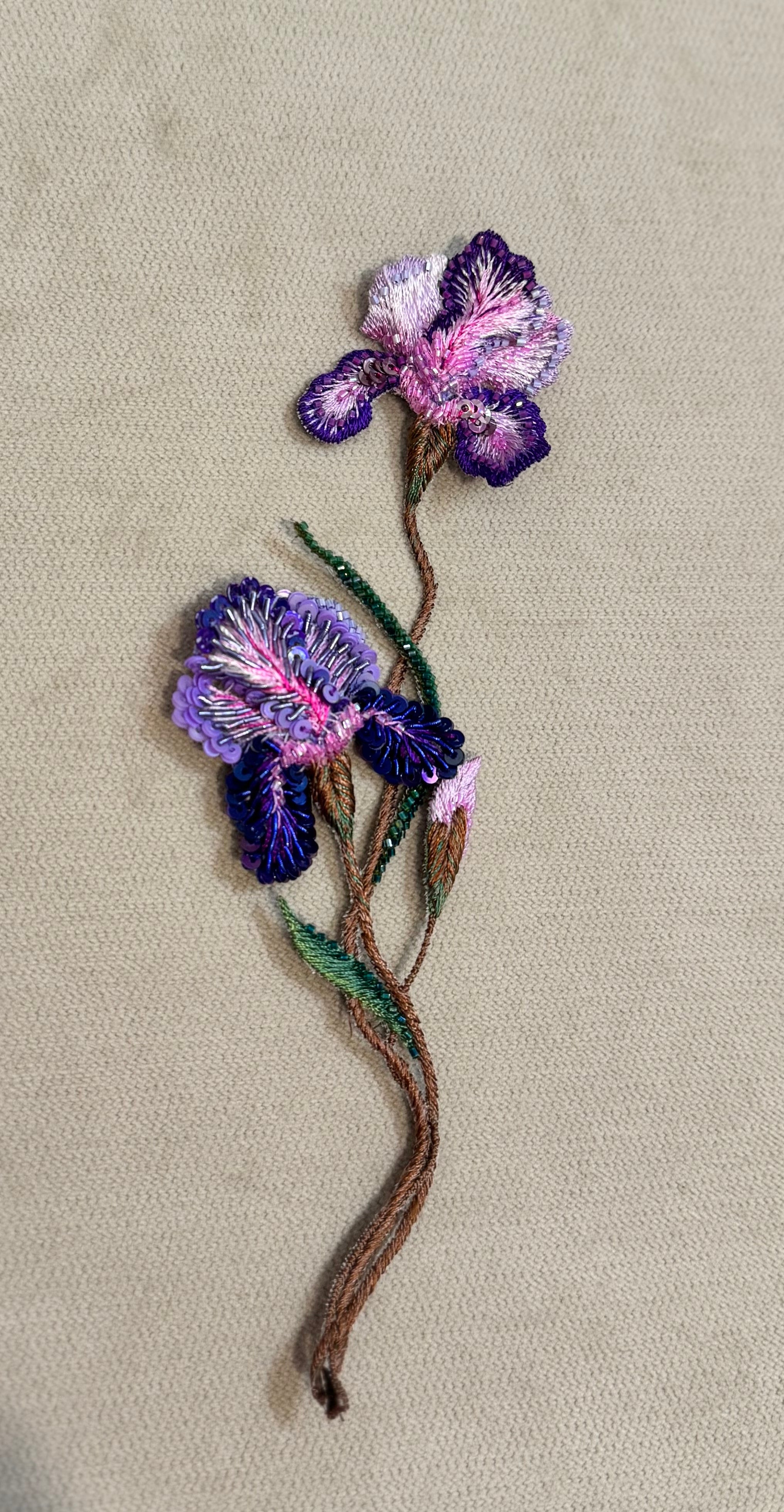 Purple Iris