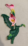 Beaded Callalily
