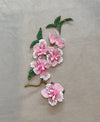Delicate Magnolia