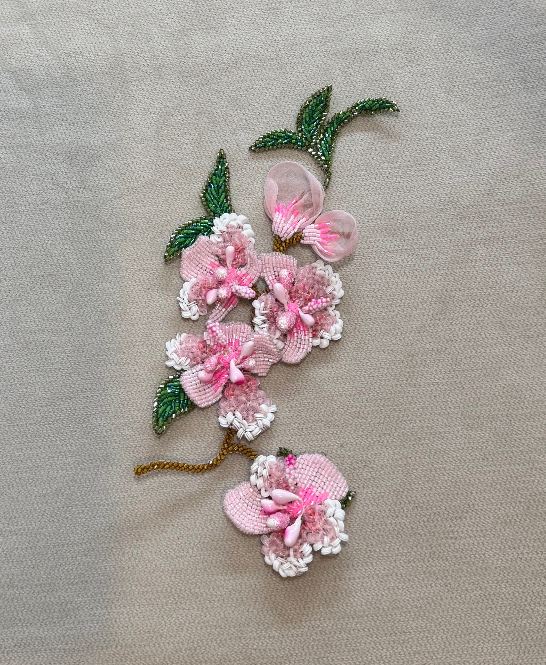 Delicate Magnolia