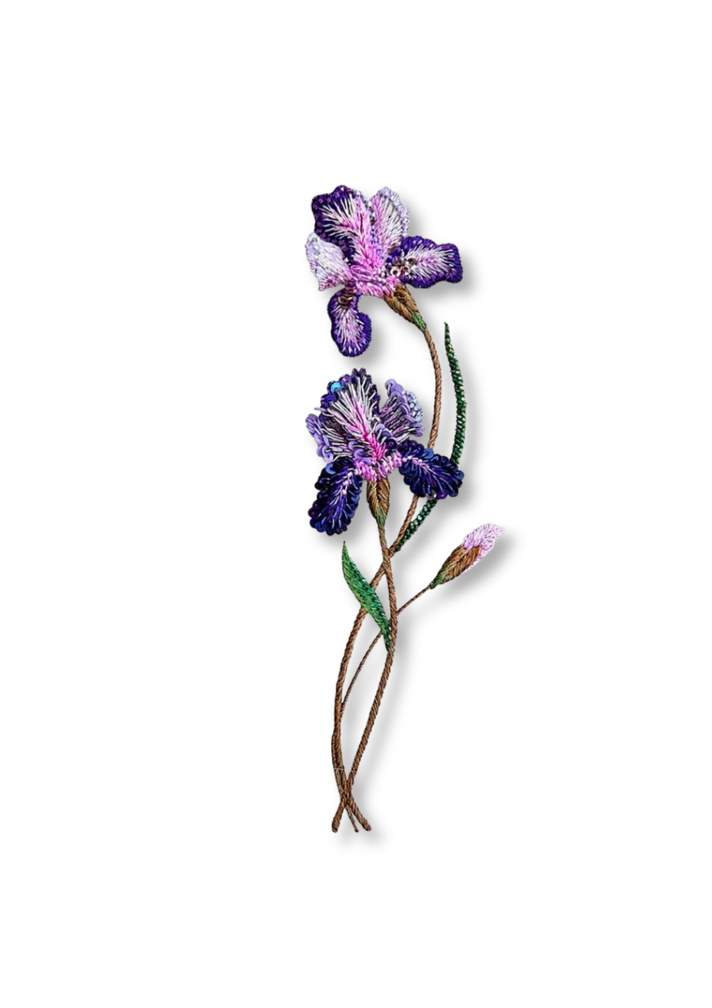 Purple Iris
