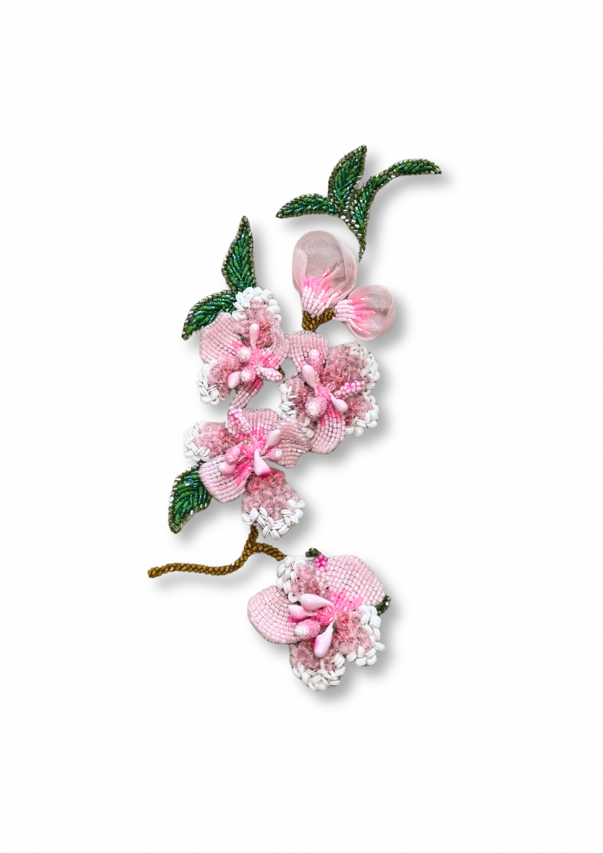 Delicate Magnolia