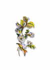 Pastel Floral