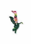 Beaded Callalily