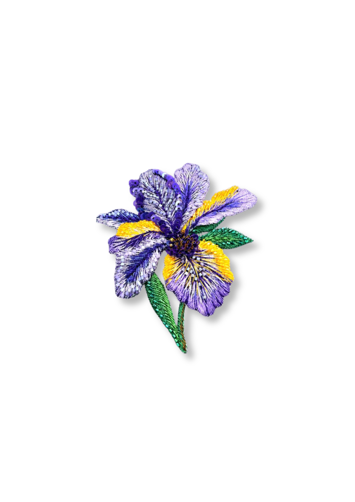 Purple yellow Iris
