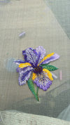 Purple yellow Iris